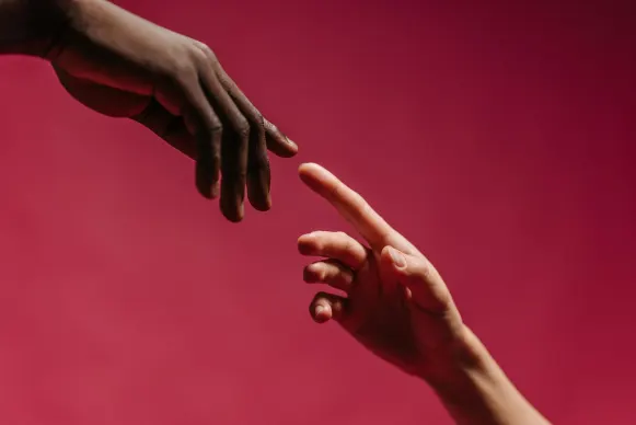 Cazino Diamond Reels Cazinou Suport